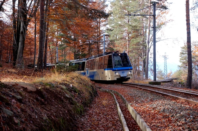 treno del foliage