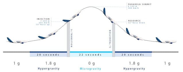 fasi parabola volo zero g