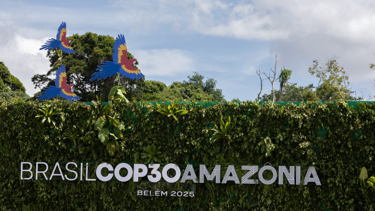 cop30-brasile