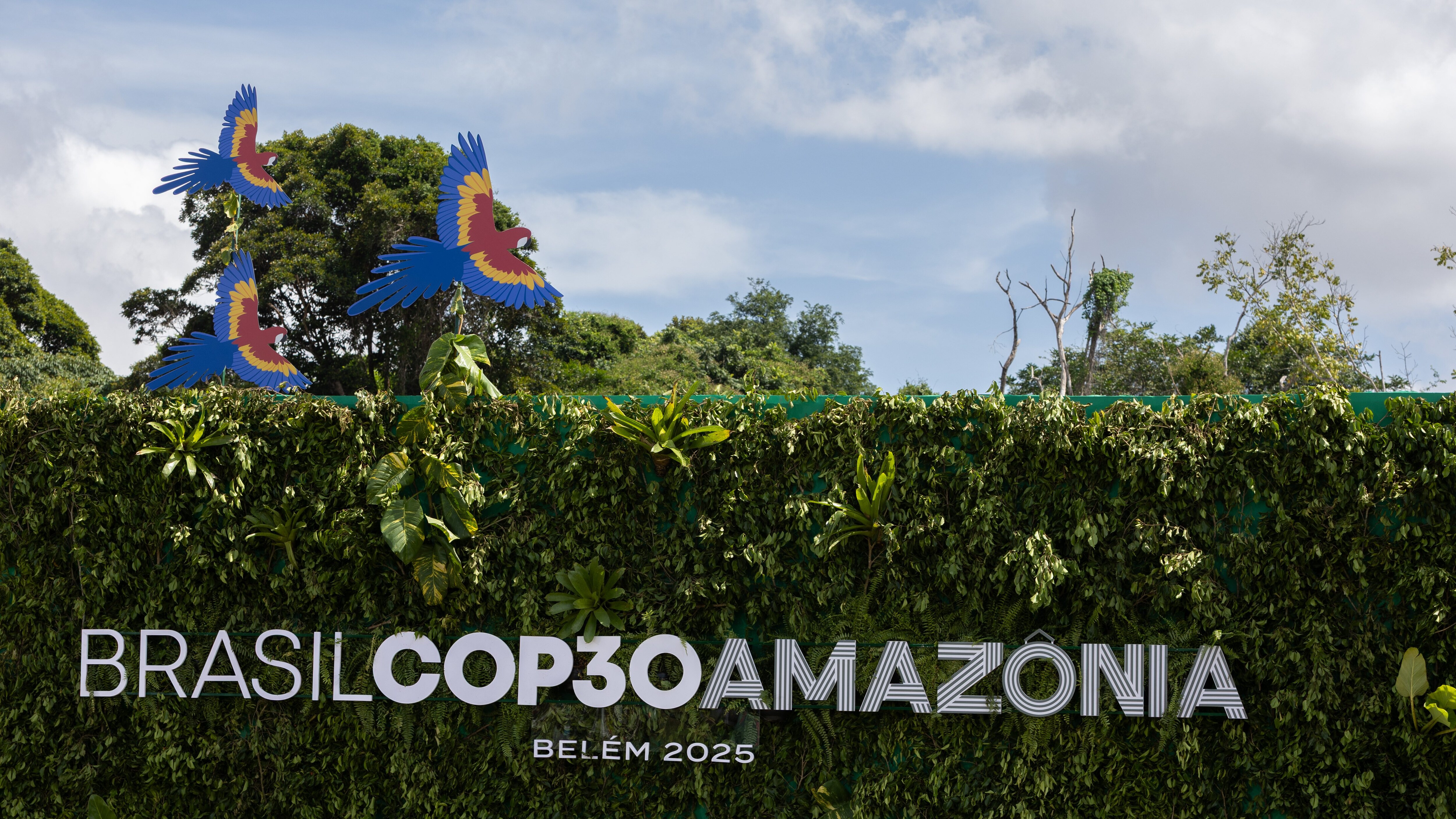 cop30-brasile