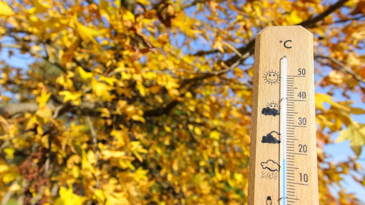 estate-di-san-martino