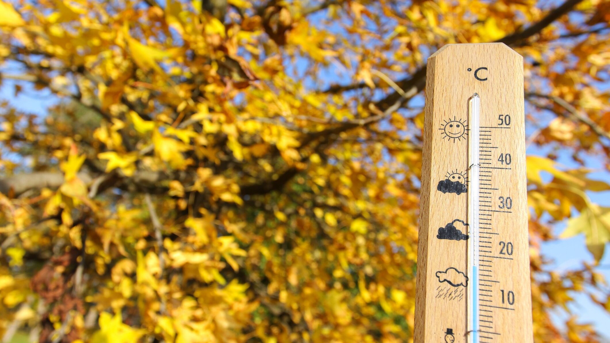 estate-di-san-martino