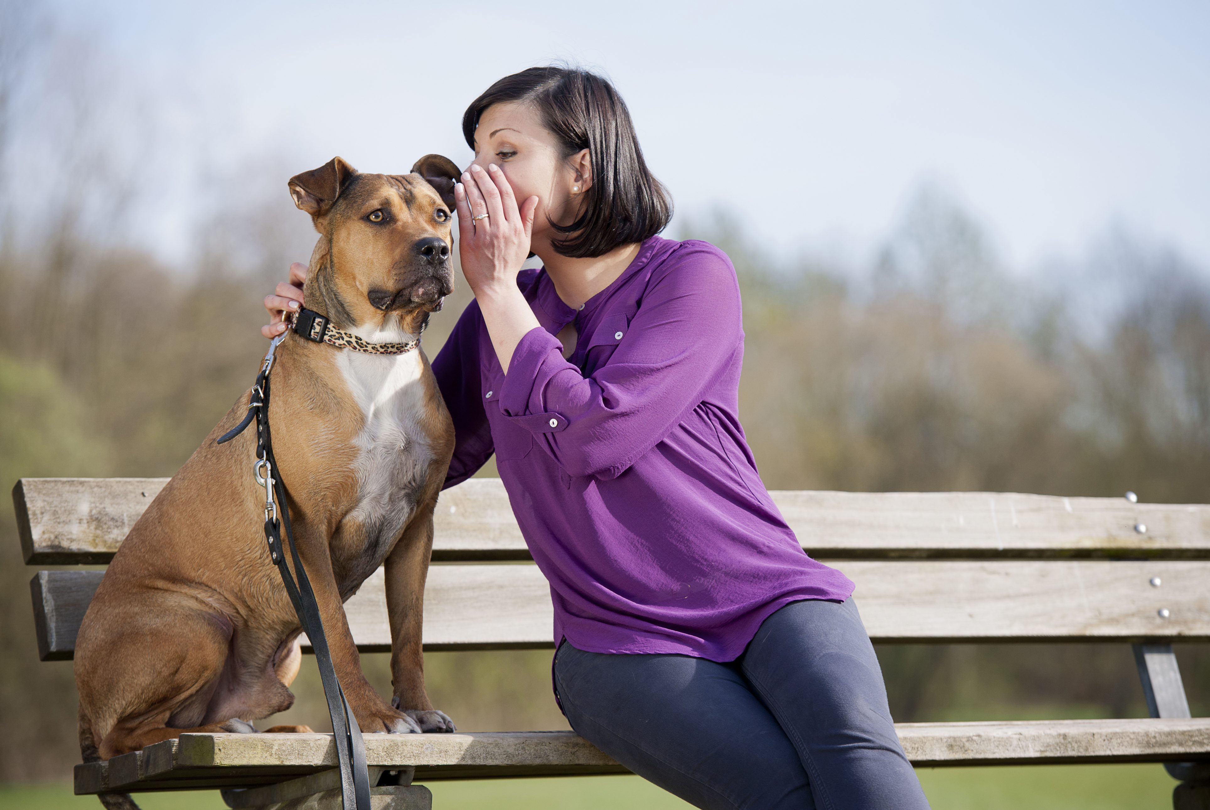 parlare agli animali domestici