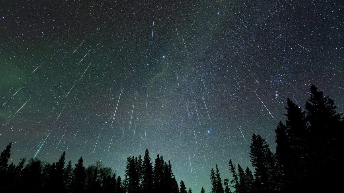 sciame meteorico stelle cadenti