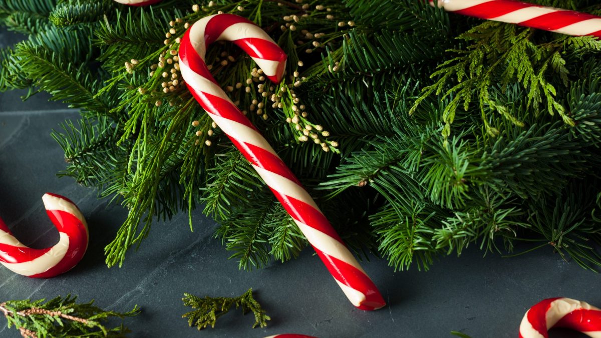 bastoncini rossi e bianchi natale