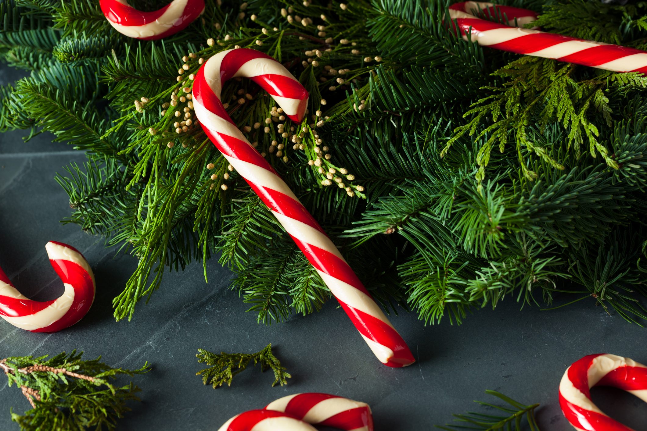 alberi natale bianchi e rossi