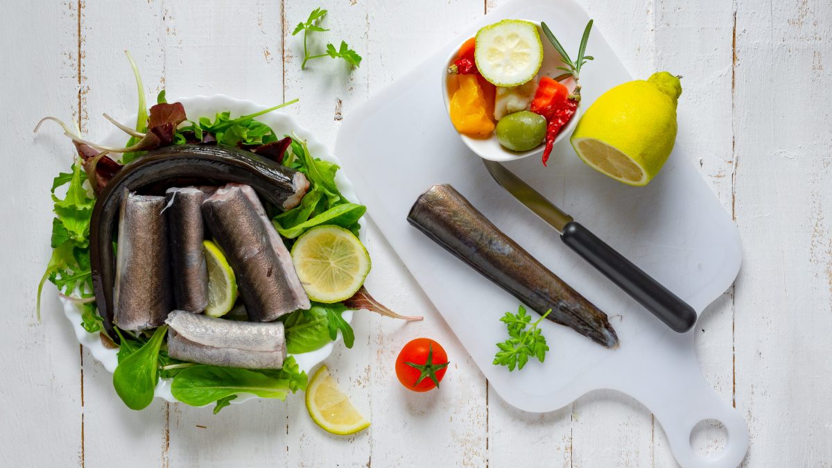 differenze anguilla e capitone