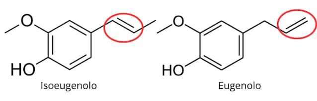 eugenolo e isoeugenolo