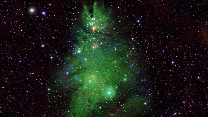 ngc2264
