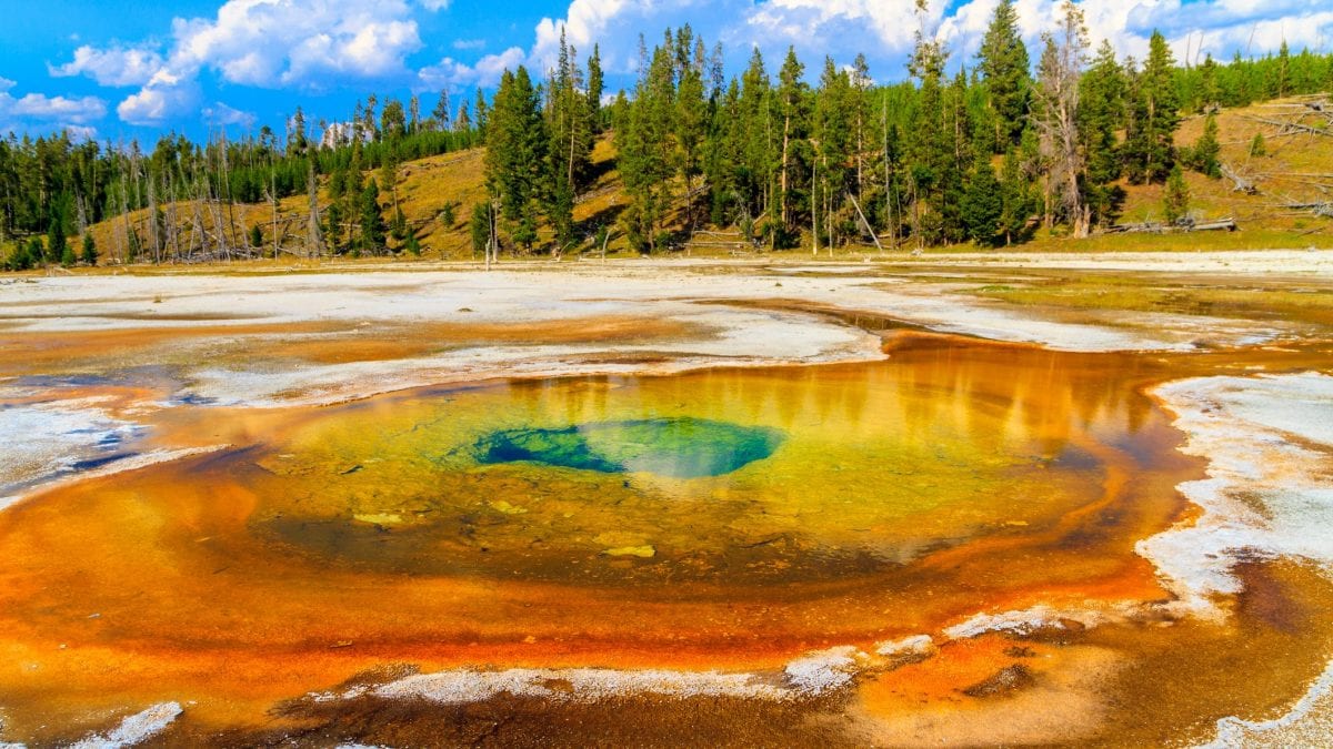 yellowstone terremoti