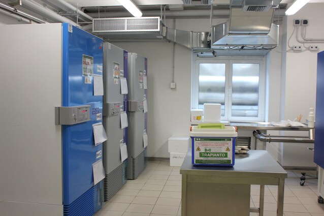 banca dei tessuti conservazione