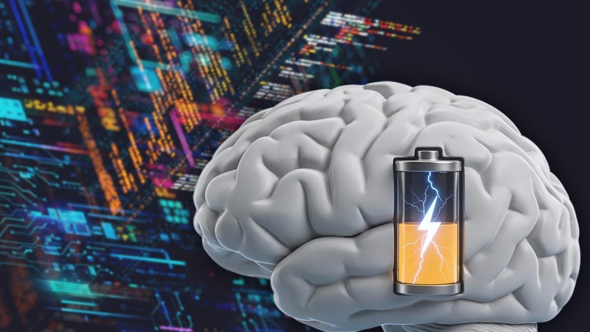 Consumo del cervello THUMB-CLEAN