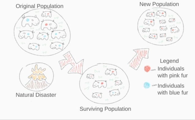 effetto collo di bottiglia