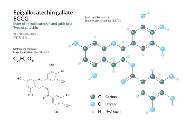 epigallocatechina gallato