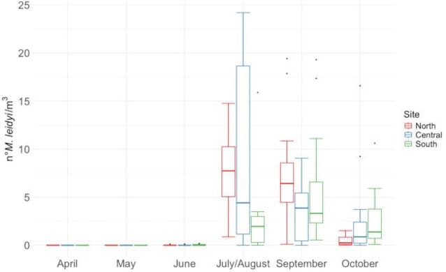 grafico noce id mare