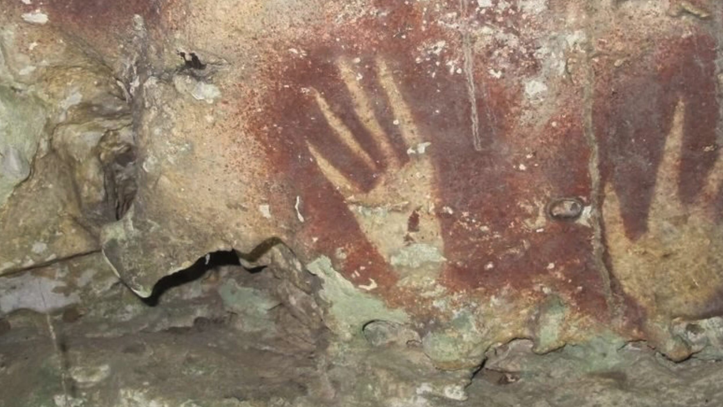 pittura rupestre indonesia