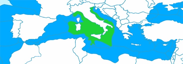 La zona economica esclusiva dell'Italia (B1mbo via Wikimedia Commons)