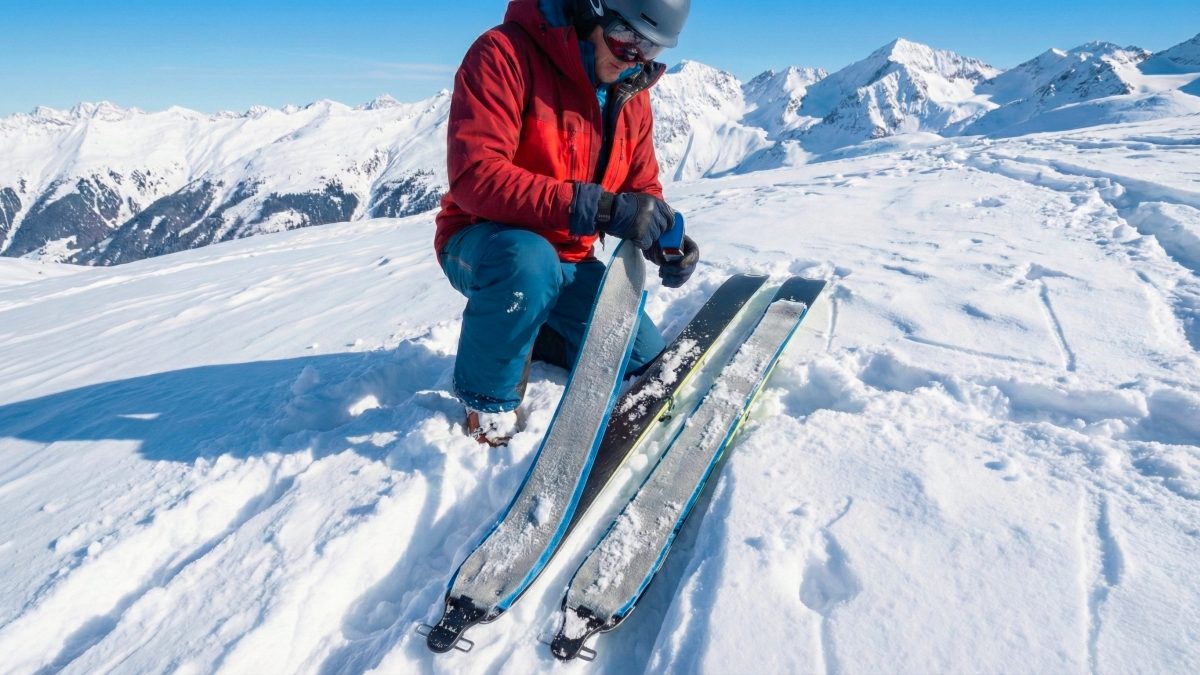 pelli di foca geopop