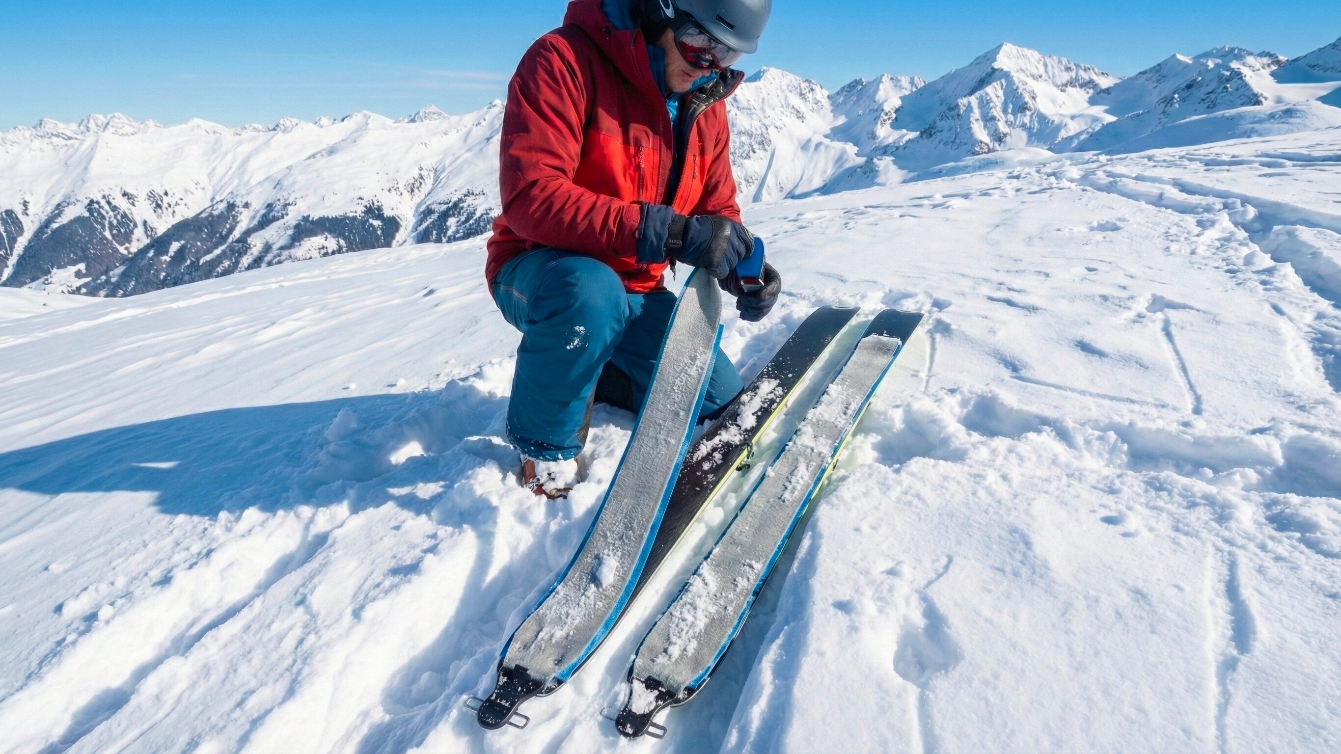 pelli di foca geopop