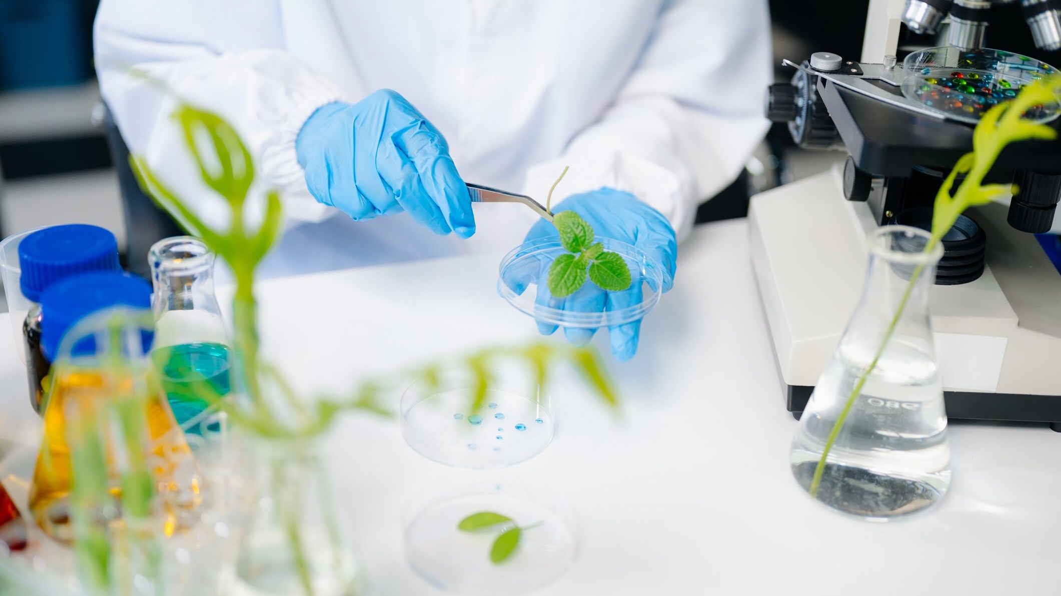 piante bioibride co2