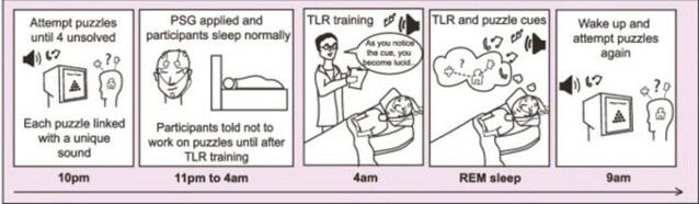 protocollo sogni creativi