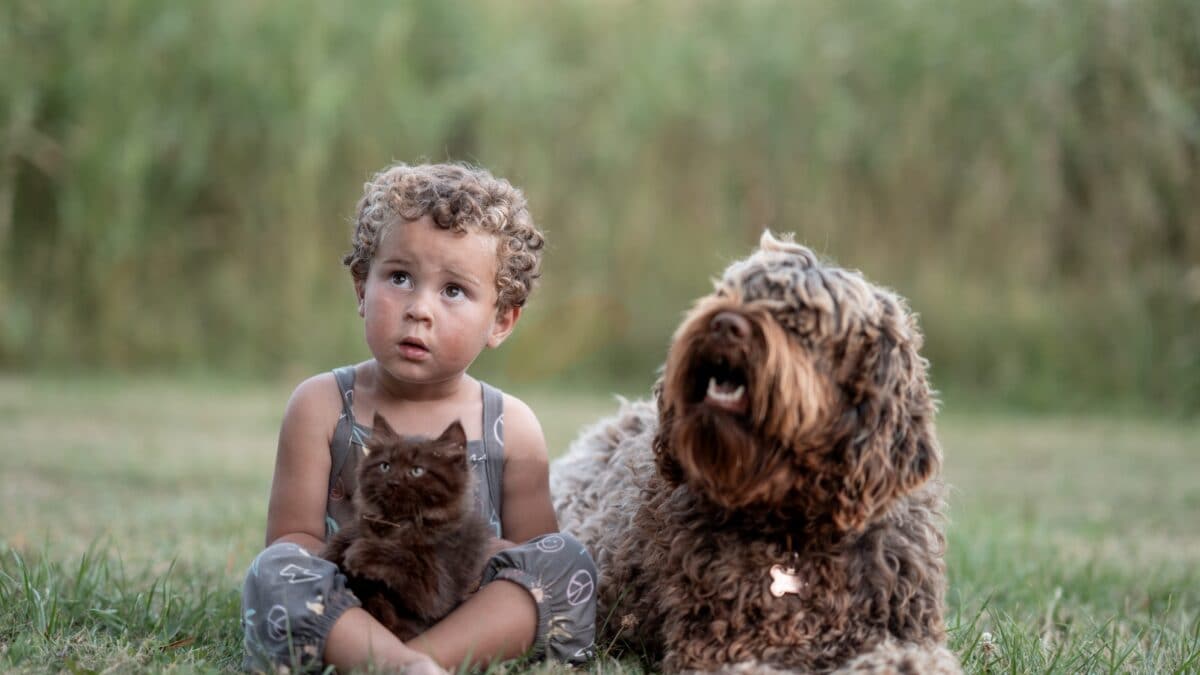 Immagine