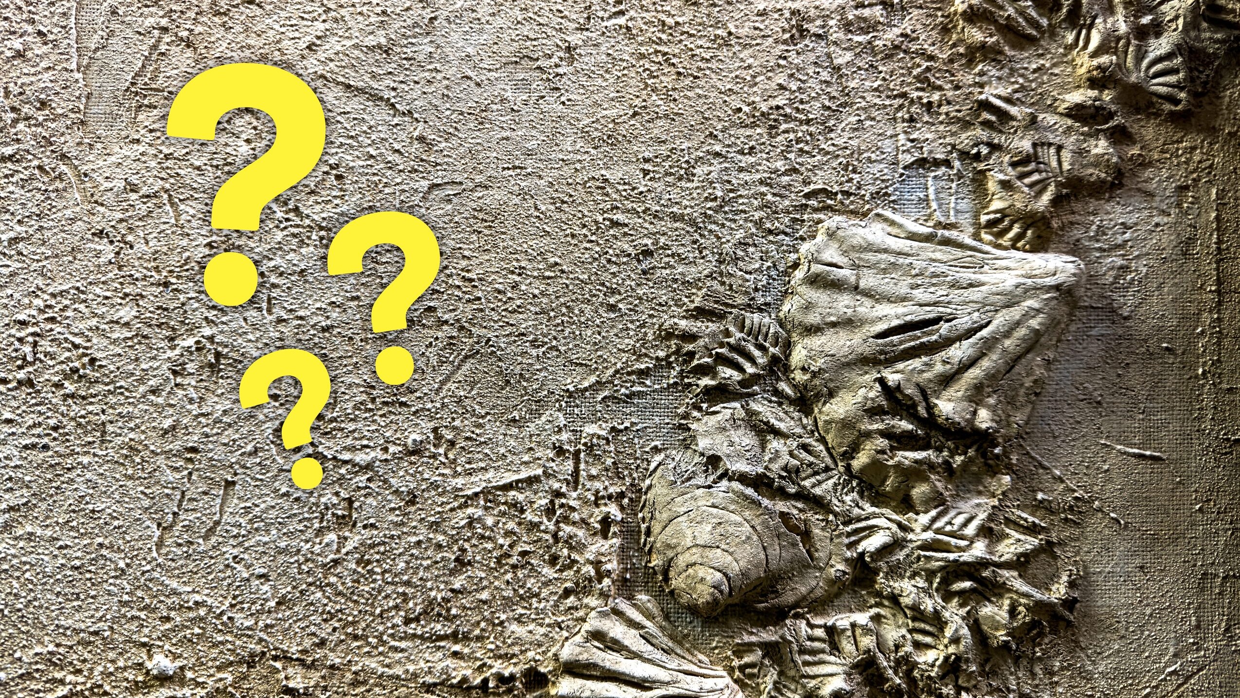 Un calcestruzzo più resistente ispirato dalla madreperla delle conchiglie: cosa dice il nuovo studio