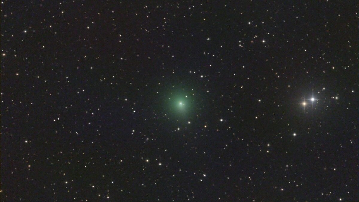 La cometa 88P/Howell che ritorna ogni 5,5 anni arriva al perielio domani: come e a che ora osservarla al mattino