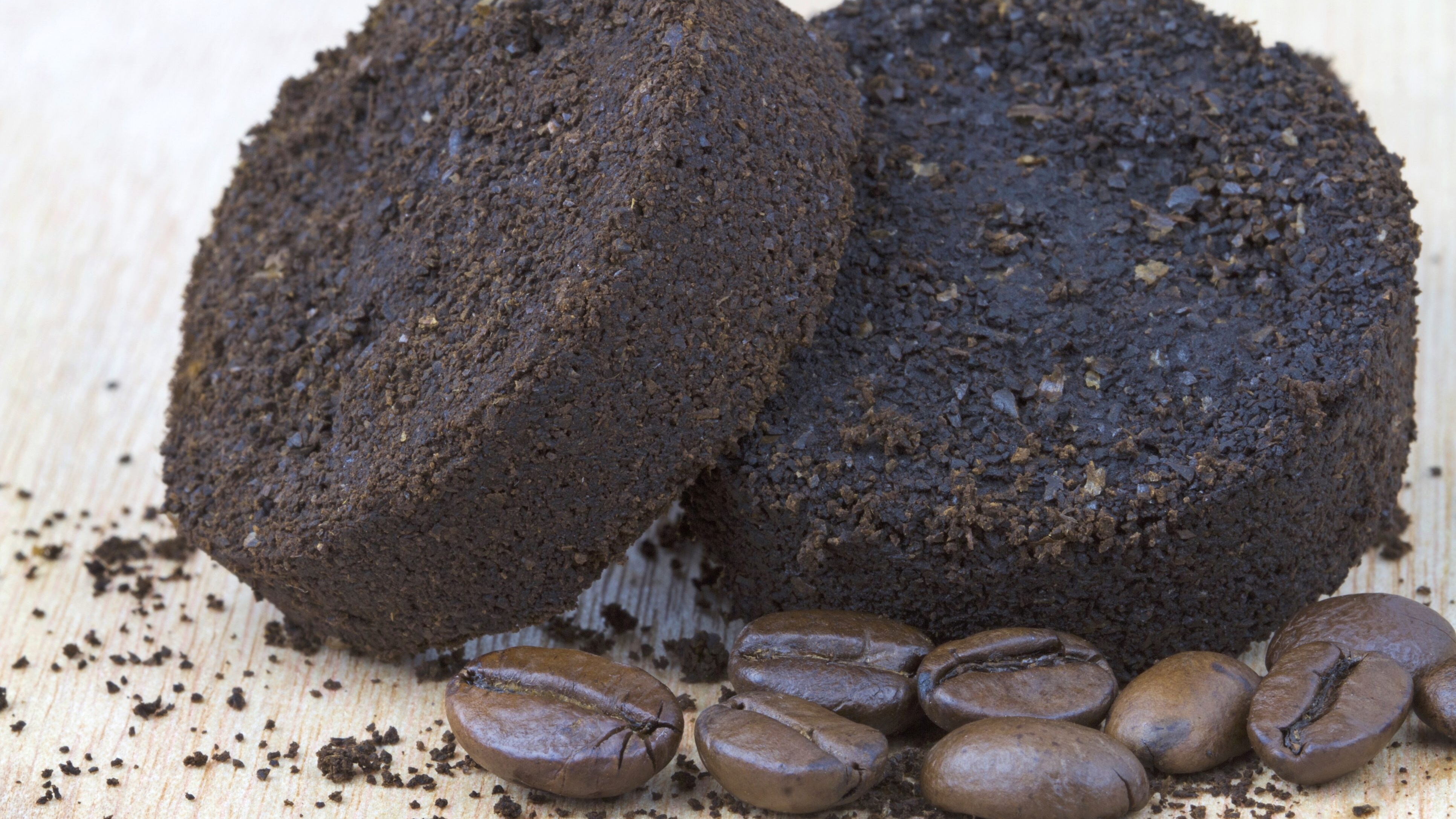 fondi di caffè cattura odori