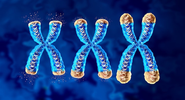 telomeri si accorciano