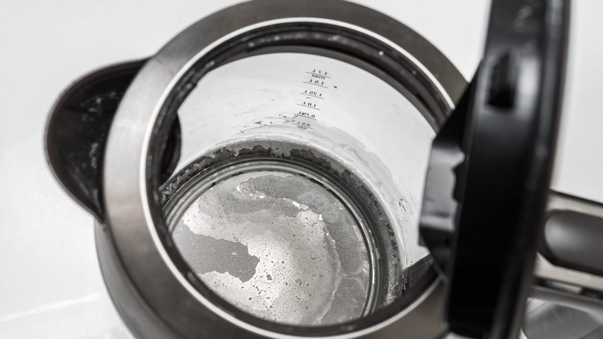 rimuovere calcare bollitore