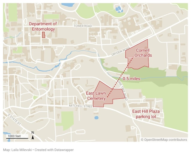 2026_1096_cemeterybees_map-final_n