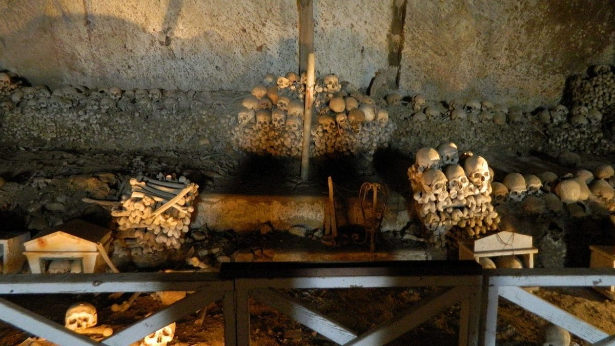 Cimitero fontanelle copertina