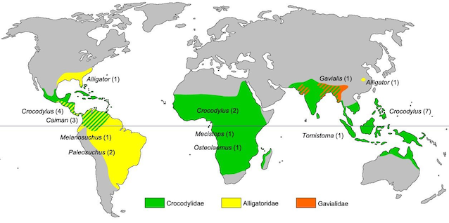 Distribuzione habitat coccodrilli e alligatori