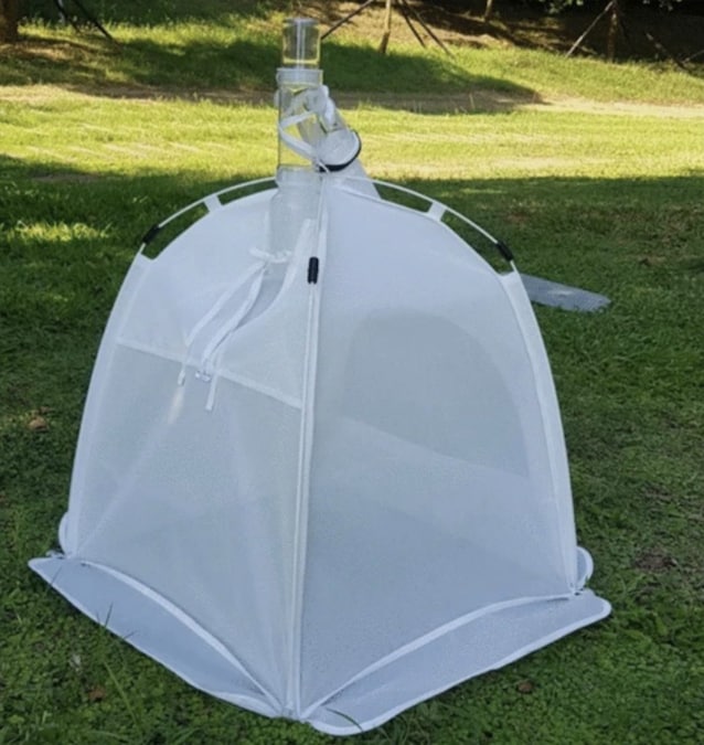 trappole di emergenza api