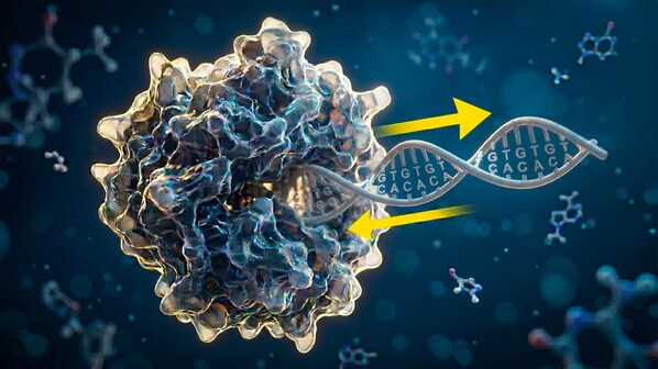 dogma biologia geopop