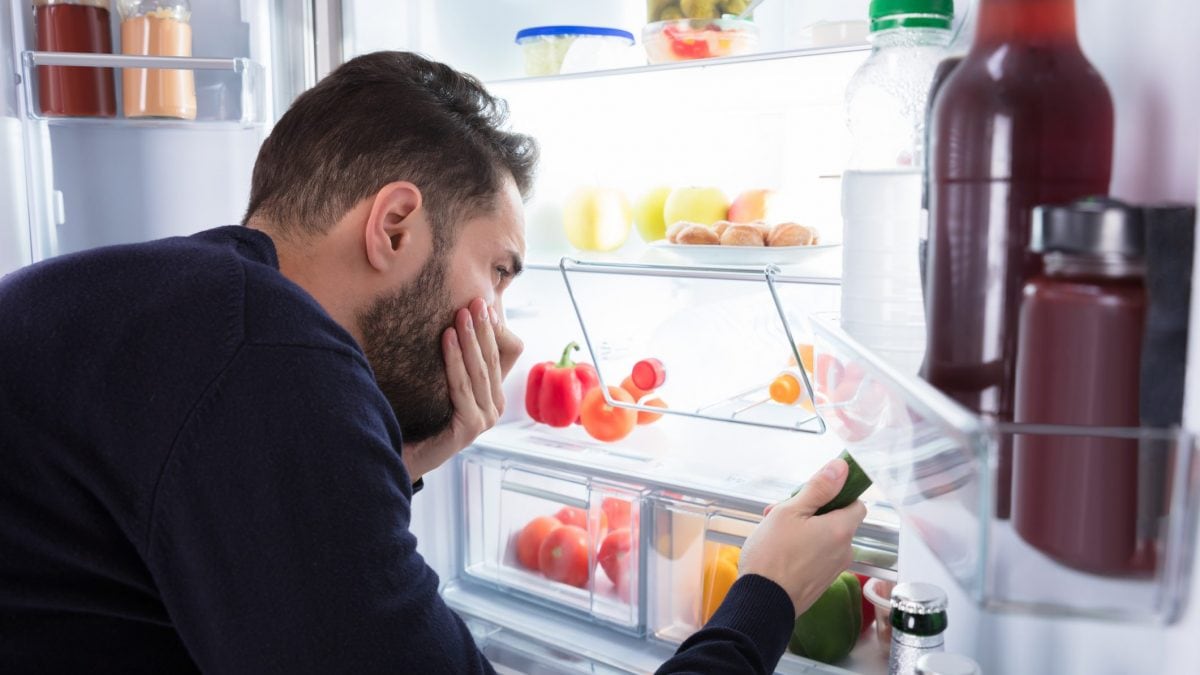 tappo sughero toglie cattivi odori frigo bufala