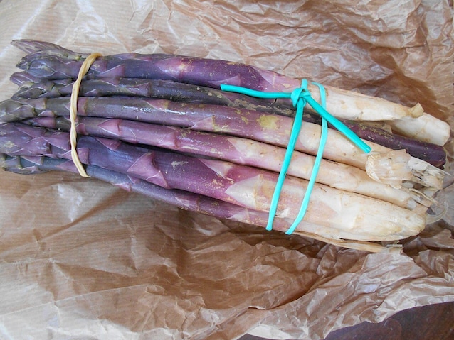 asparagi albenga
