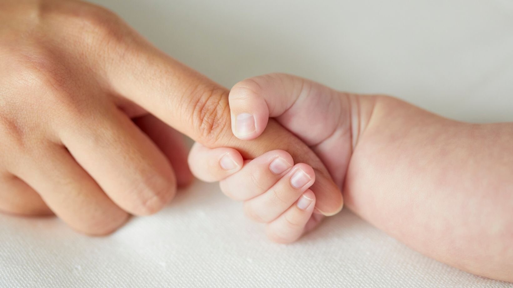 calo-demografico