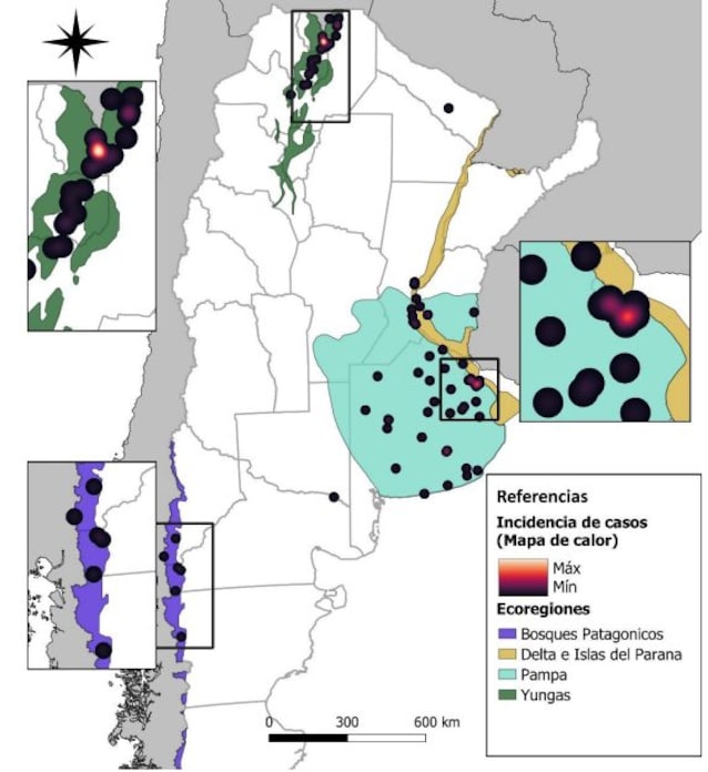 diffusione contagi in argentina