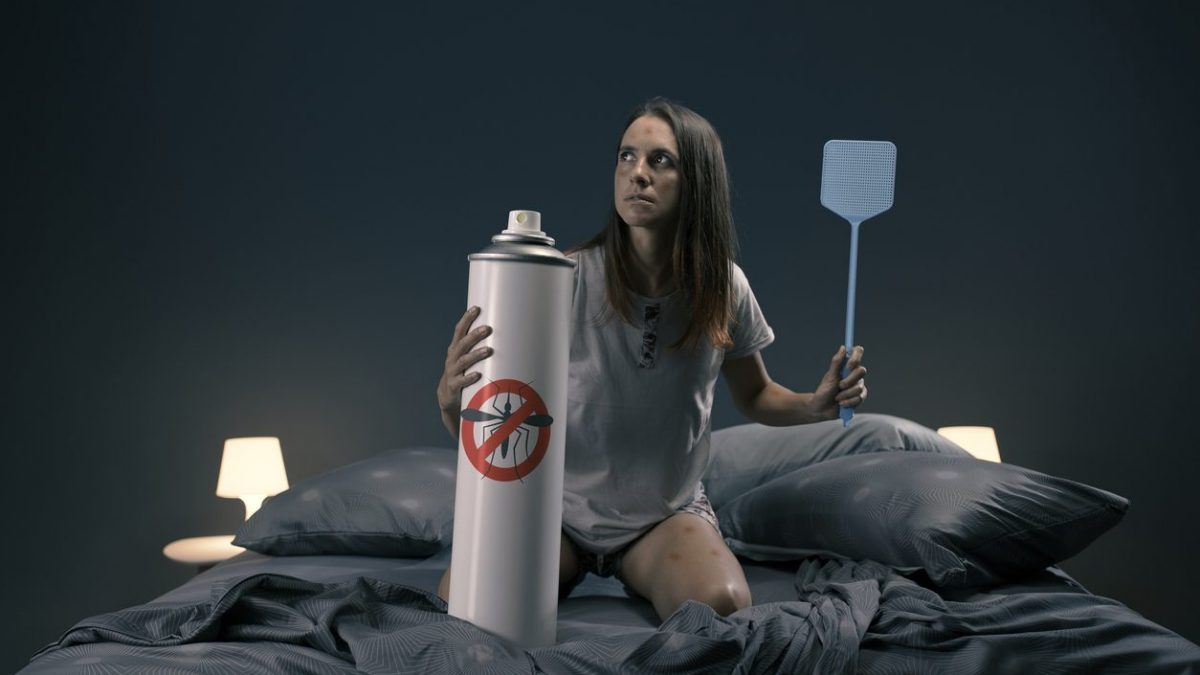 prevenire proliferazione zanzare in casa