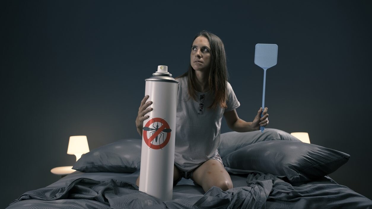 prevenire proliferazione zanzare in casa