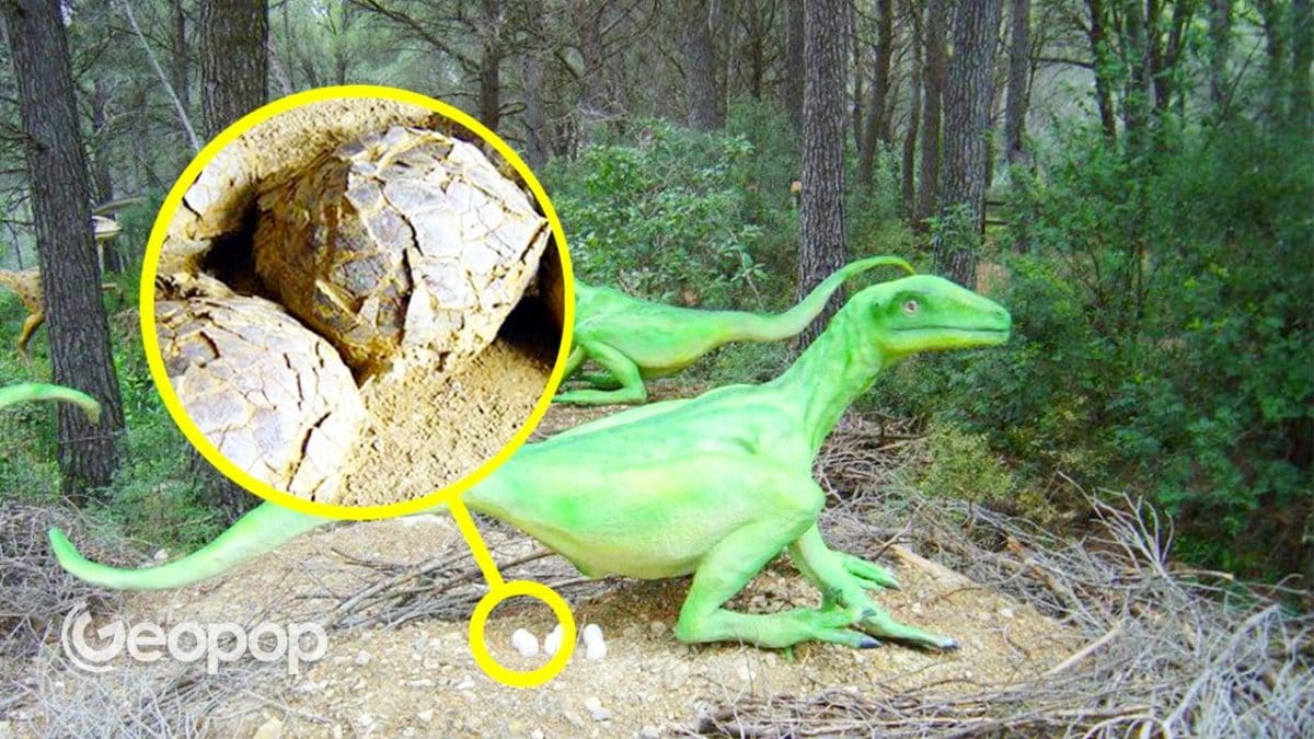 uova-dinosauro-thumb