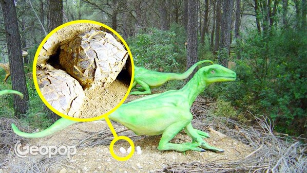uova-dinosauro-thumb
