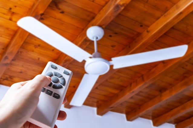 ventilatore a soffitto antizanzare