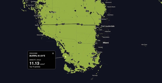 funghi everglades