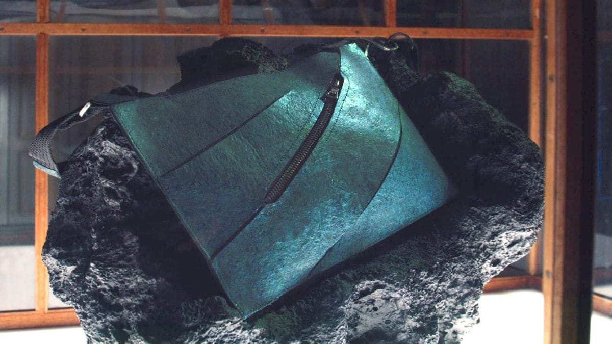 borsa-t-rex