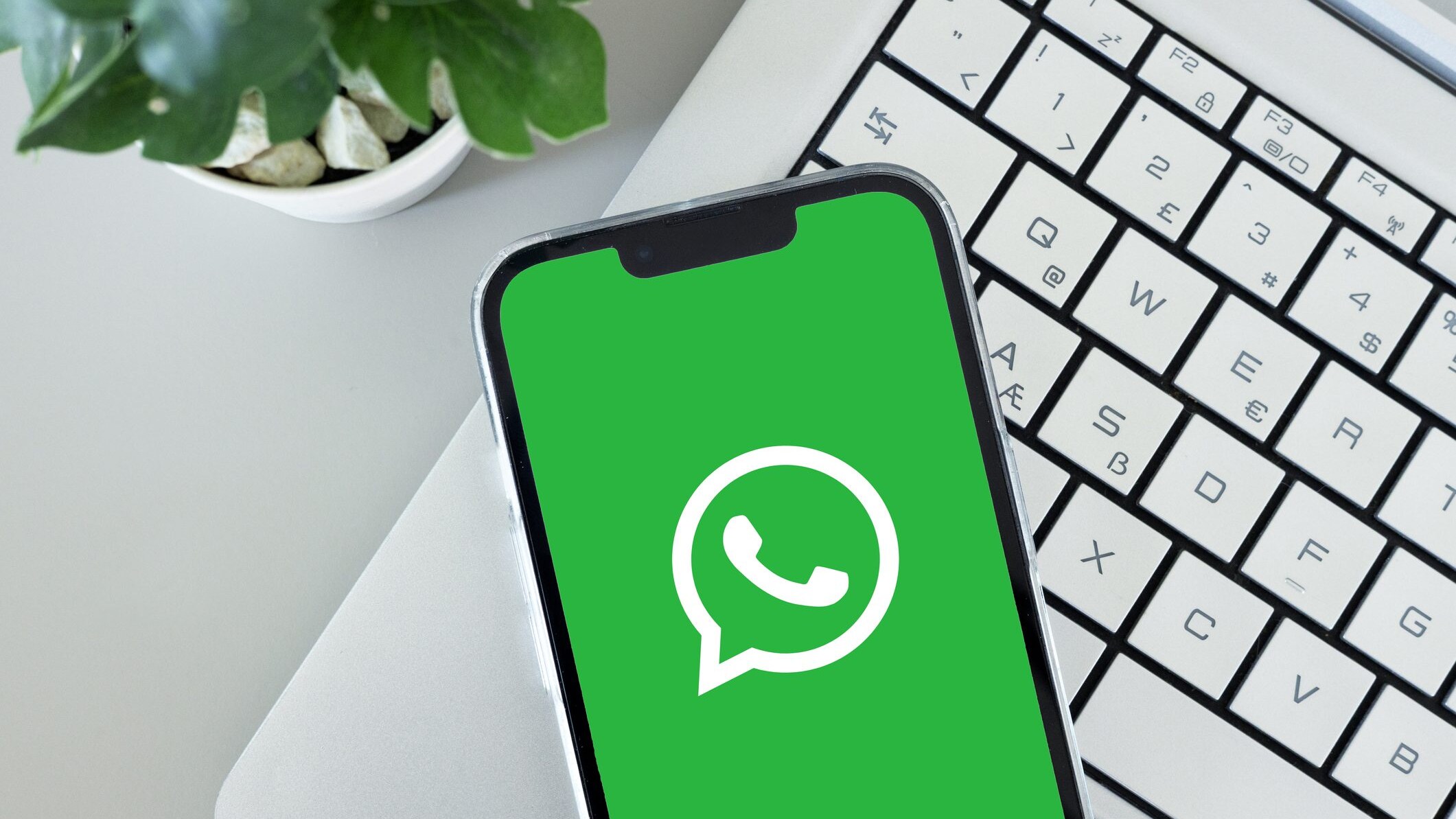 whatsapp-versione-ios-15
