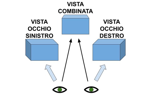Schema della visione stereoscopica
