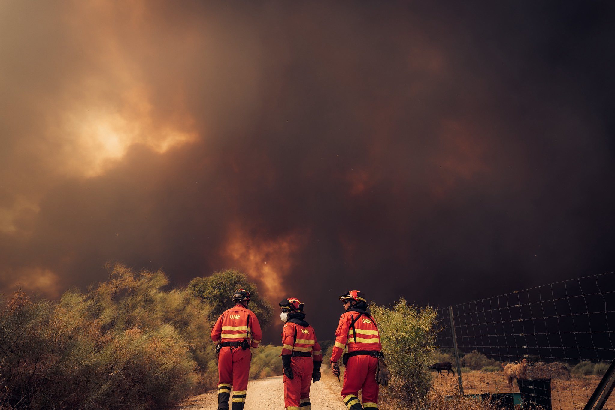 incendios espana